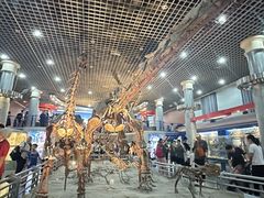 -国家自然博物馆