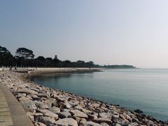 -深圳湾公园(南山区)