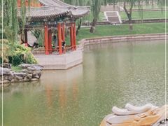 -万柳阁小馆·花园餐厅(龙潭湖店)
