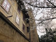 -武汉大学-樱园