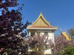 -洛阳白马寺