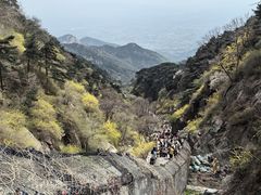 -泰山风景名胜区