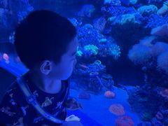 -太平洋海底世界