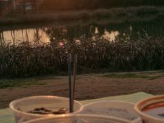 -两河城市森林公园