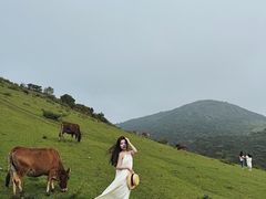-大姆山草场