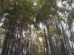 -宝岩生态观光园