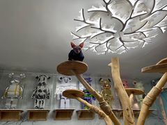 -泰国佛·塔罗·泰牌狐仙古曼