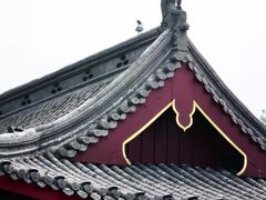 -鸽子窝公园
