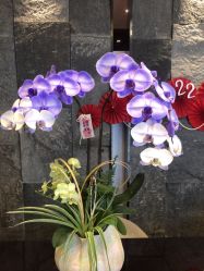 -美健盛世·美容SPA连锁