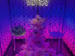 -MOSSO·Liveshow(M3香港广场店)
