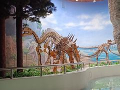 -延庆地质公园博物馆