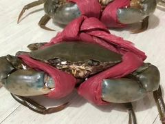 -休记光头香辣蟹干锅(绵竹店)