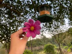 -福建鲤鱼洲酒店