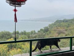 -小赖鱼馆·铁锅炖(官厅水库店)
