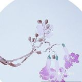 我什么时候也可以给自己画可爱的头像呀[调皮]