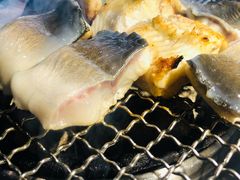 -吉力烤鳗