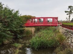 -芒洲湿地公园