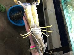 -班赞海鲜市场