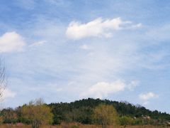 -西海岸生态观光园