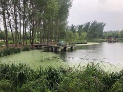 -东郊湿地公园