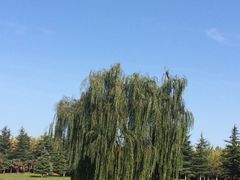 -黄河小浪底水利枢纽风景区