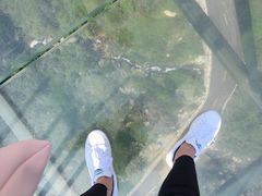 -梦幻奥陶纪景区