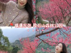 -福清灵石山国家森林公园