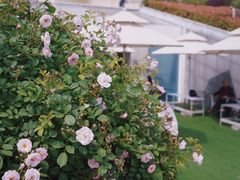 -UNI UNI(环亚凯瑟琳店)