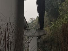 -李子坝梁山鸡(李子坝大鸡哥店)