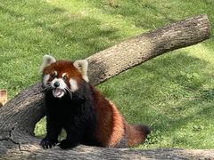 -南京金牛湖风景区