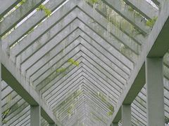 -嘉北郊野公园