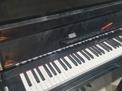 -大象音乐·吉他·架子鼓·声乐(双井店)