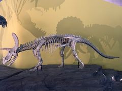 -湖南省地质博物馆