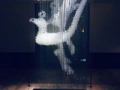 -丽晶轩中餐厅(重庆丽晶酒店)