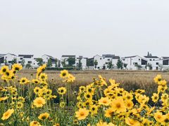 -东梓关景区村庄