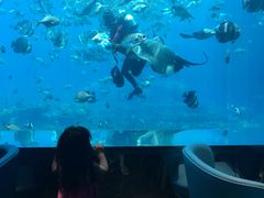 -瑞德姆美人鱼海底演艺主题餐厅(亚龙湾店)