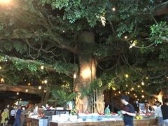 -杭州开元森泊度假乐园