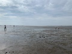 -阿尔法海鲜排档(爱琴海店)