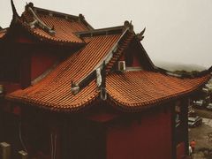 -铁山坪森林公园