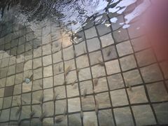 -汤泊温泉度假村