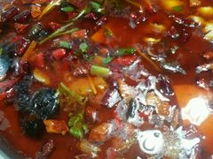 -乡土特色.冷锅鱼.牦牛肉汤锅