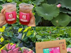 -炖物24章·顺时轻养茶(杭州大厦店)