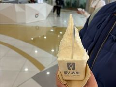 -野人先生Gelato(上海长宁龙之梦店)