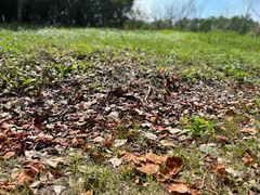 -上海海湾国家森林公园