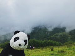 -硗碛藏寨·神木垒景区