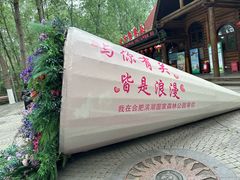 -合肥滨湖国家森林公园