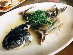 油盐蒸鲩鱼-水乡人家私房菜(逢简店)