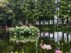 -金银湖国家城市湿地公园