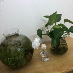 -尔素·半永久纹眉·野生眉