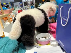 -成都世纪城新国际会展中心